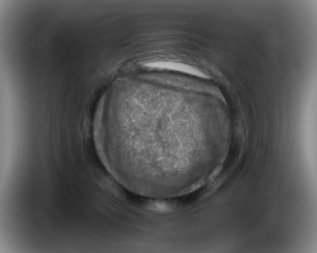 X0000083980565200703091826