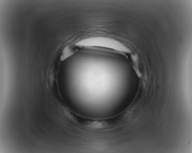 X0000083980566200703091826