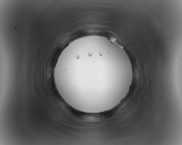 X0000083980567200703091826