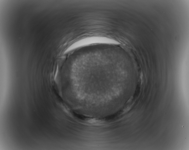 X0000083980568200703091826