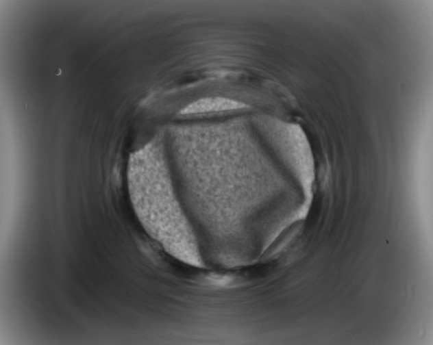 X0000083980570200703091826