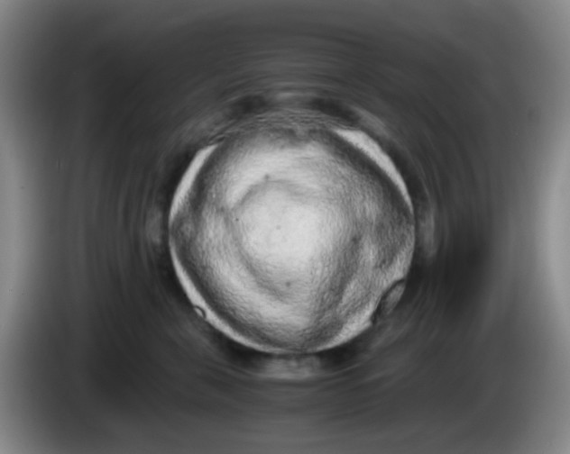 X0000083980571200703091826