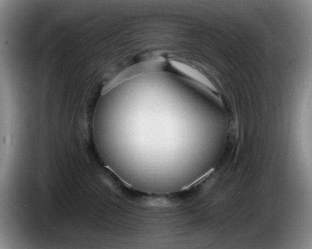 X0000083980572200703091826