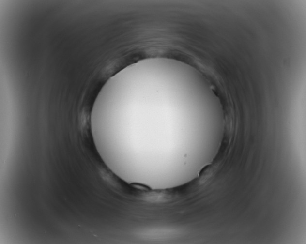 X0000083980574200703091826