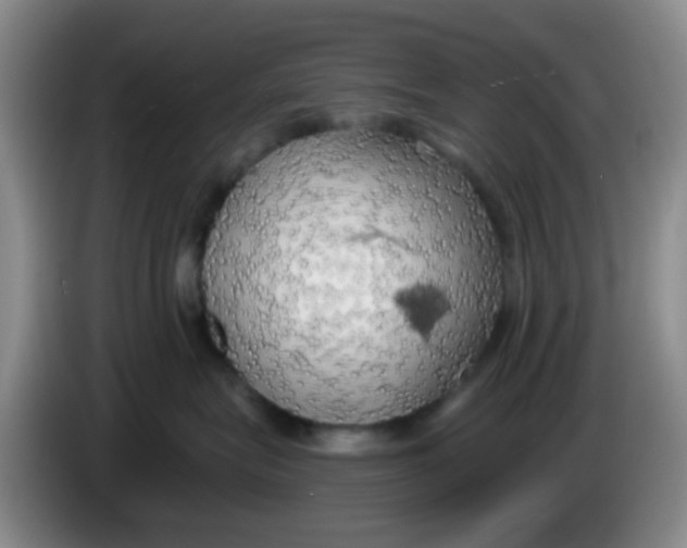 X0000083980575200703091826