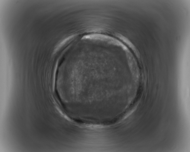 X0000083980577200703091826