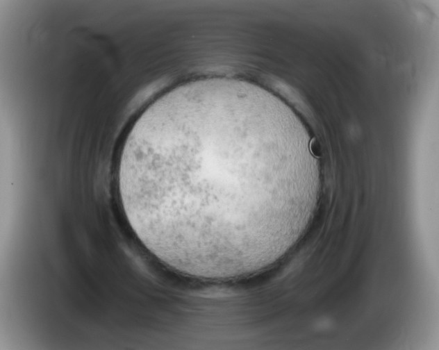 X0000083980578200703091826