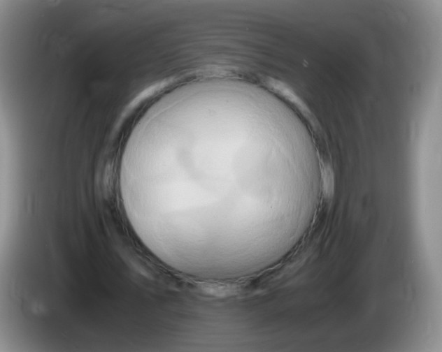 X0000083980579200703091826