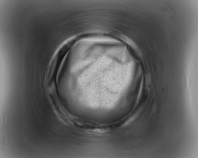 X0000083980580200703091826