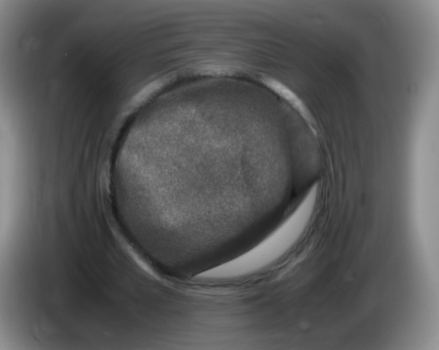 X0000083980581200703091826