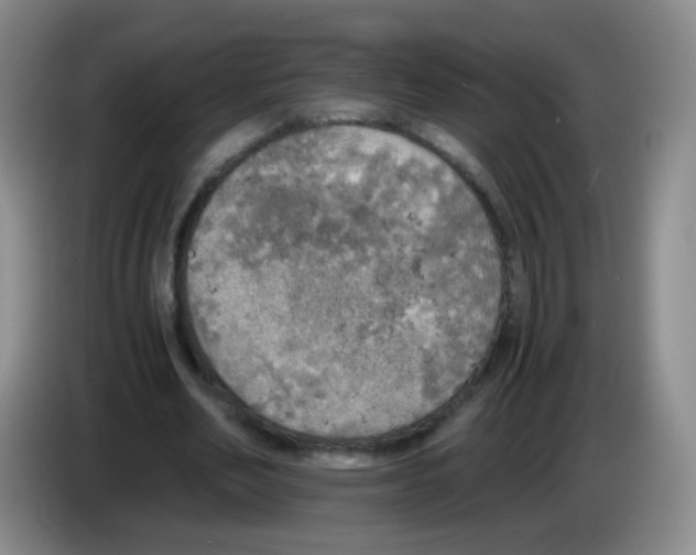 X0000083980582200703091826