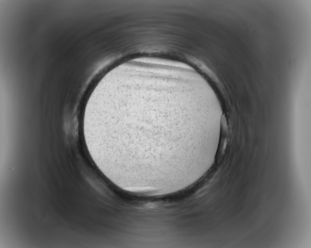 X0000083980584200703091826