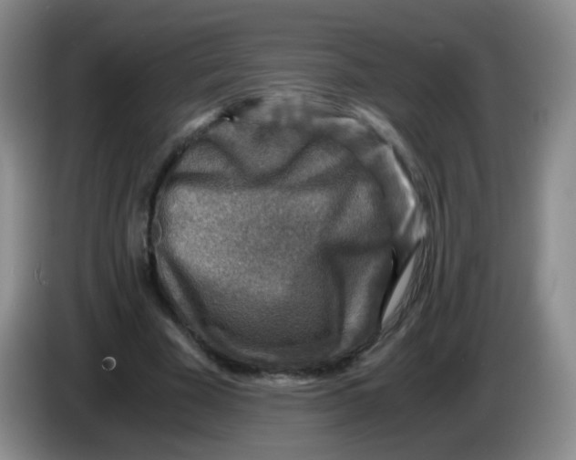 X0000083980585200703091826