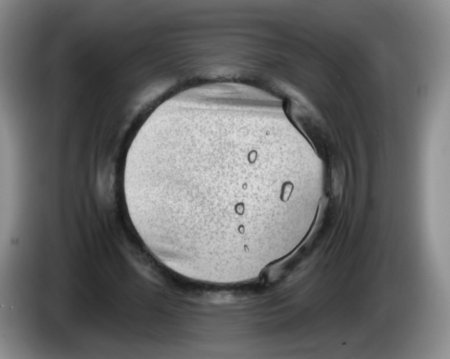 X0000083980588200703091826