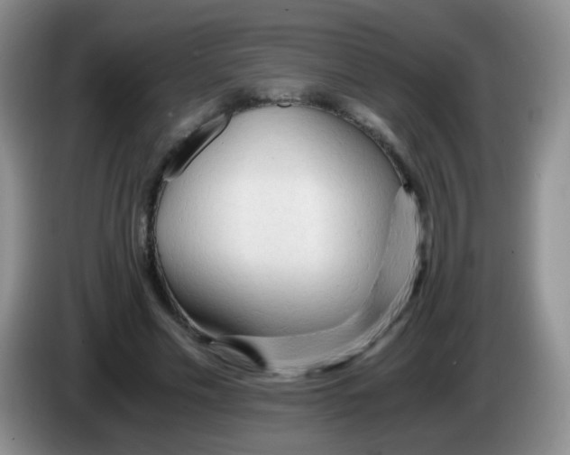 X0000083980589200703091826