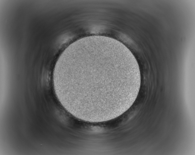 X0000083980592200703091826