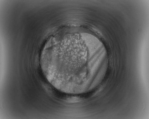 X0000083980594200703091826