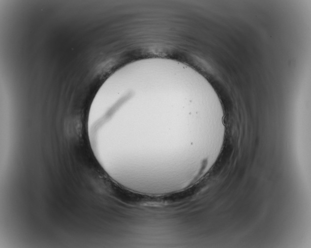 X0000083980595200703091826