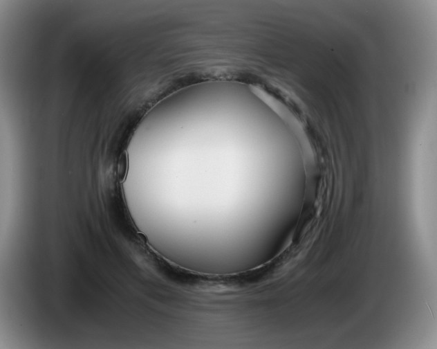 X0000083980597200703091826