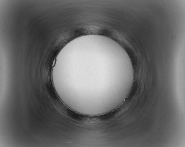 X0000083980599200703091826