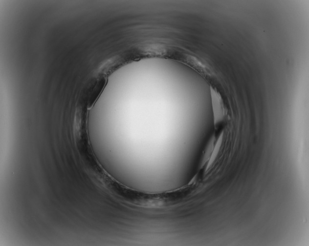 X0000083980600200703091826