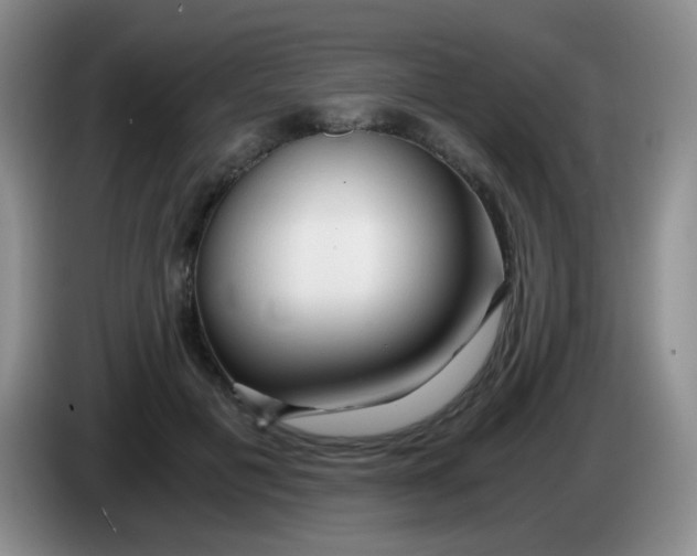 X0000083980601200703091826