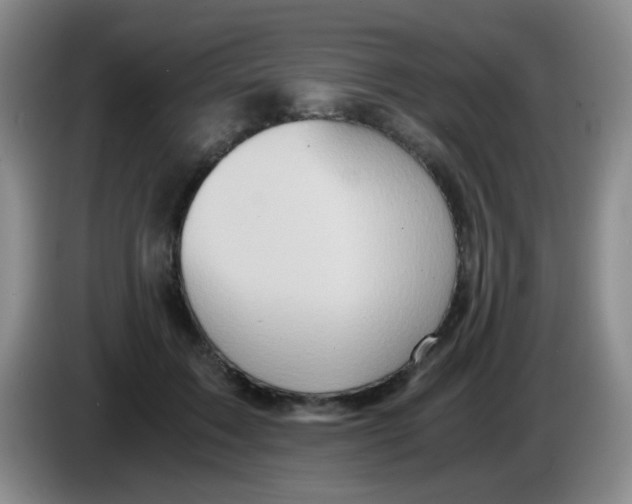 X0000083980603200703091825