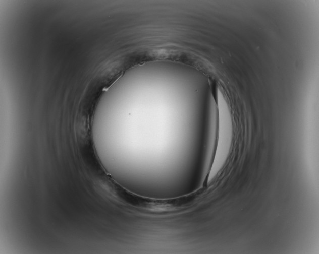 X0000083980605200703091825