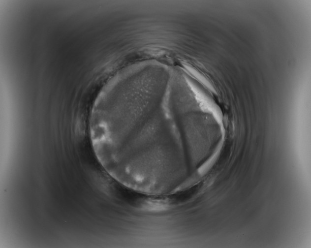 X0000083980606200703091825