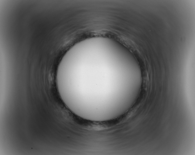 X0000083980608200703091825