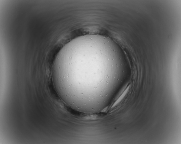 X0000083980609200703091825