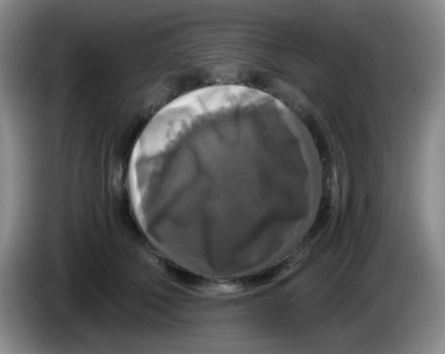 X0000083980610200703091825