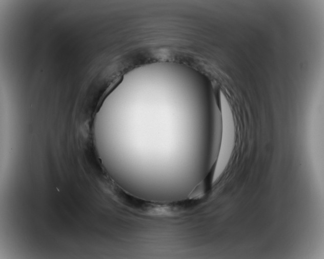 X0000083980611200703091825