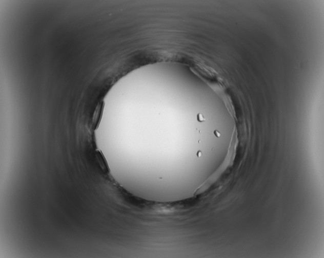 X0000083980613200703091825