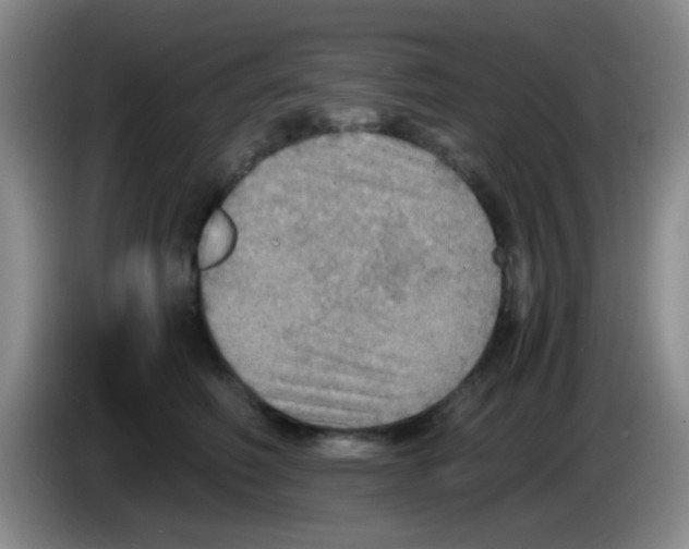 X0000083980614200703091825