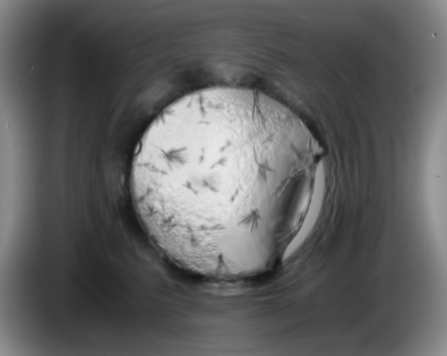 X0000083980615200703091825