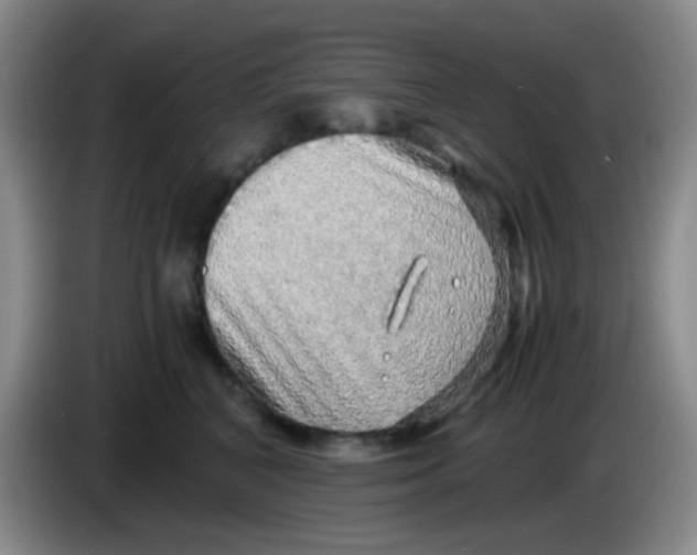 X0000083980616200703091825