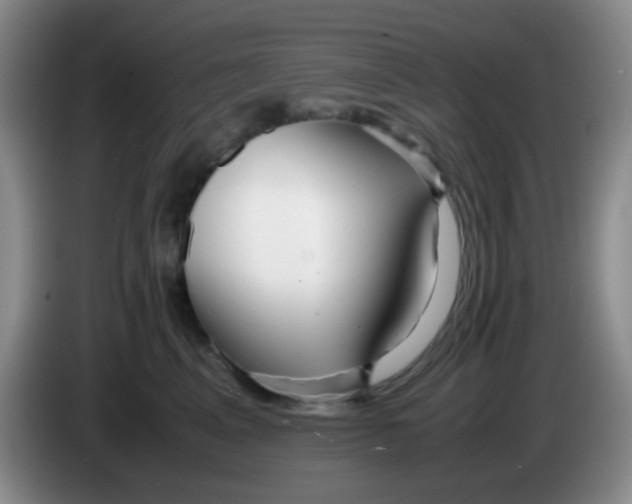 X0000083980617200703091825