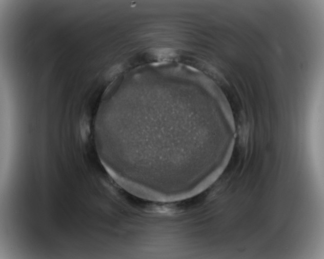 X0000083980618200703091825