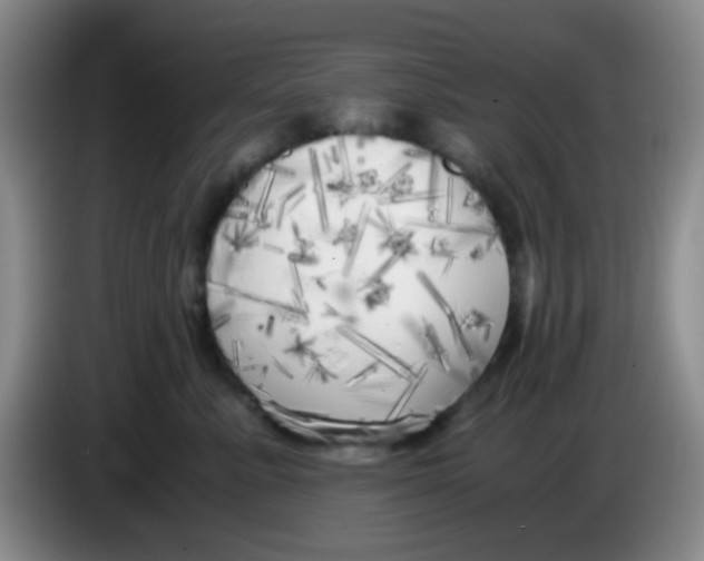 X0000083980619200703091825