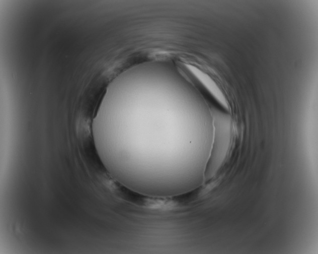 X0000083980621200703091825