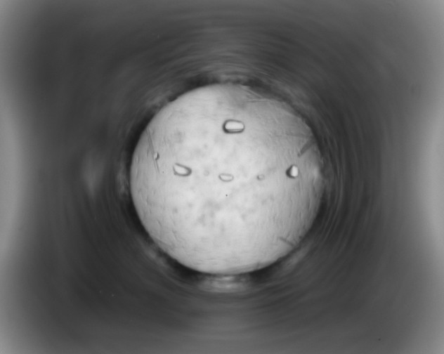 X0000083980622200703091825