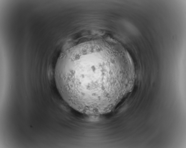 X0000083980623200703091825