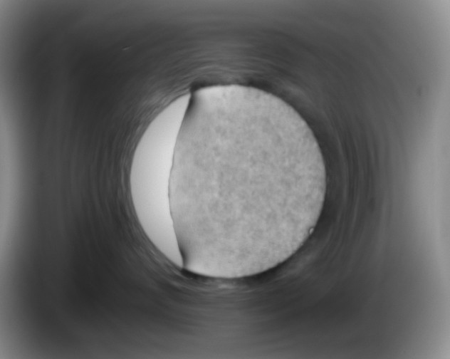 X0000083980624200703091825