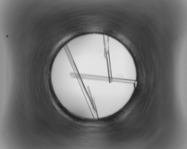 X0000083980625200703091825