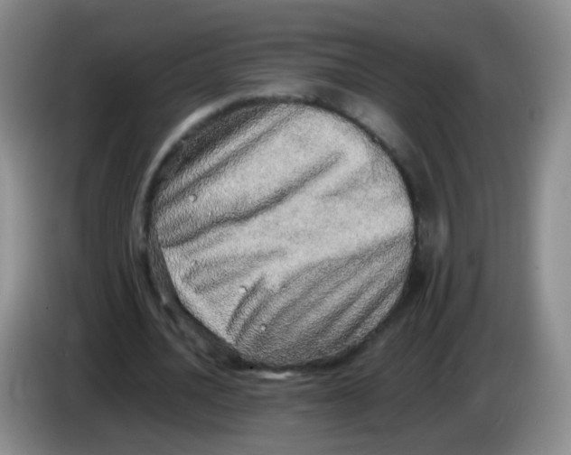 X0000083980628200703091825