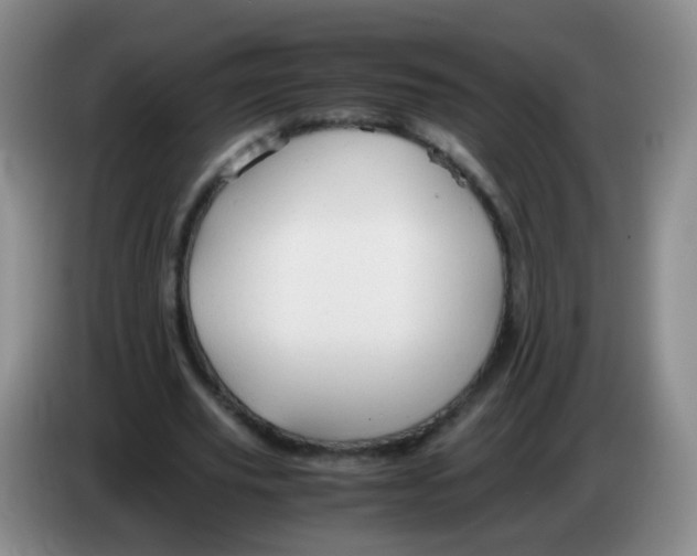 X0000083980629200703091825