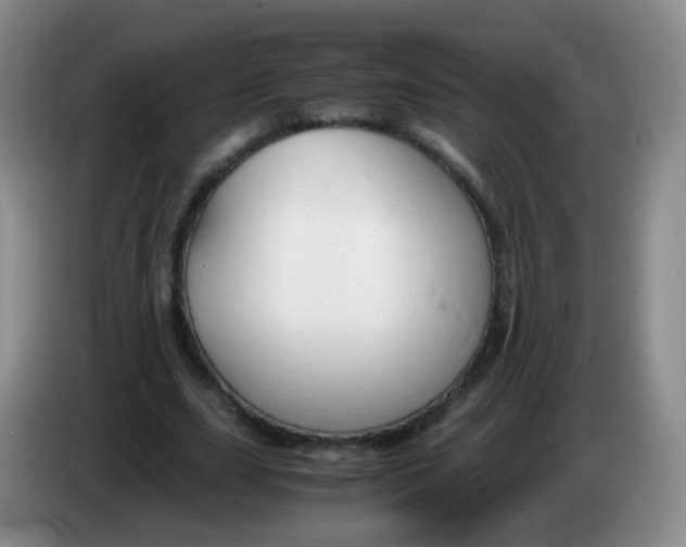 X0000083980631200703091825