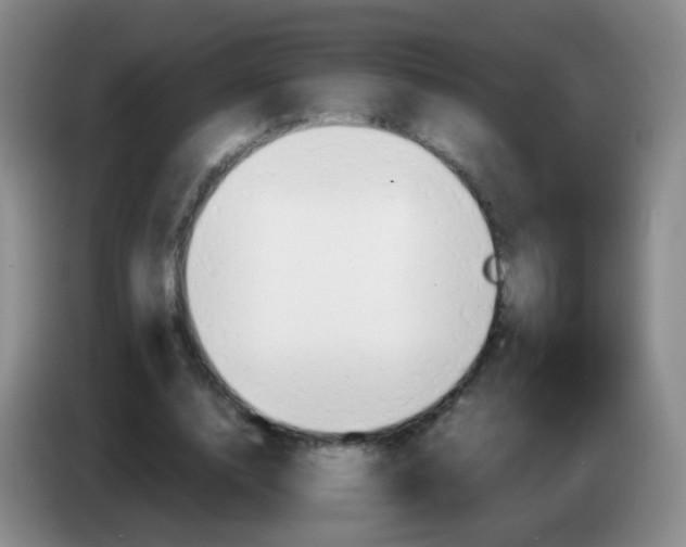 X0000083980632200703091825