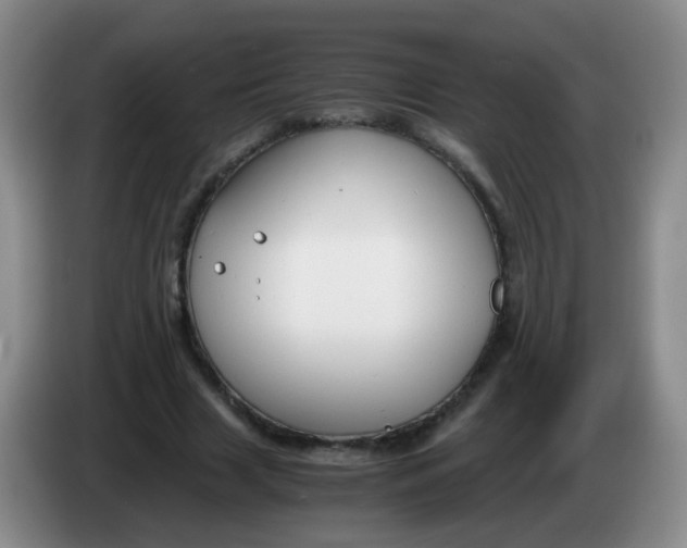 X0000083980633200703091825